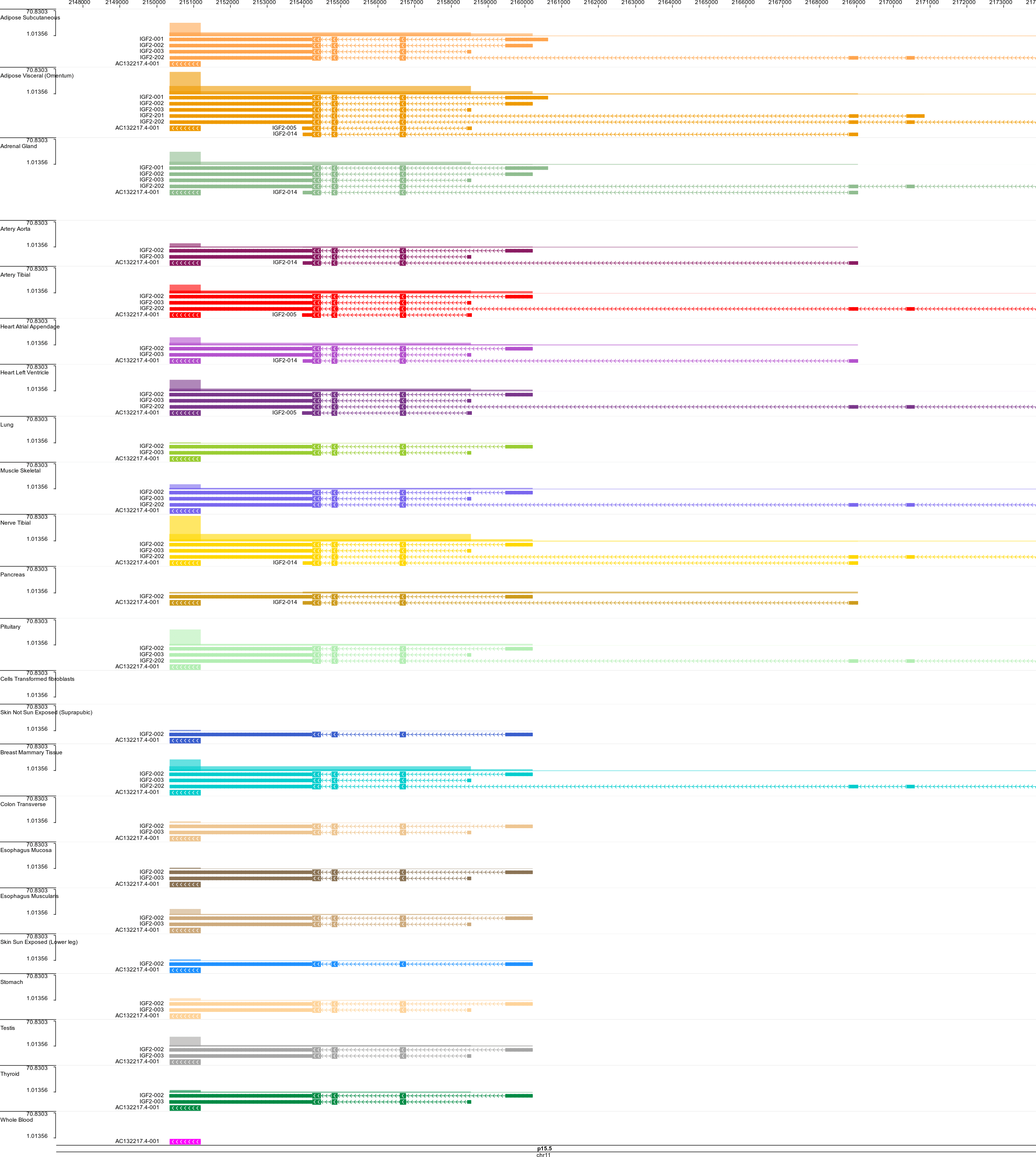 GTEX Wash U Epigenome Browser