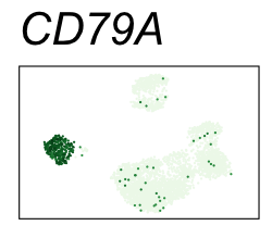 CD79A