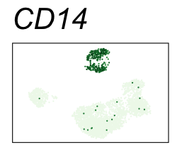 CD14