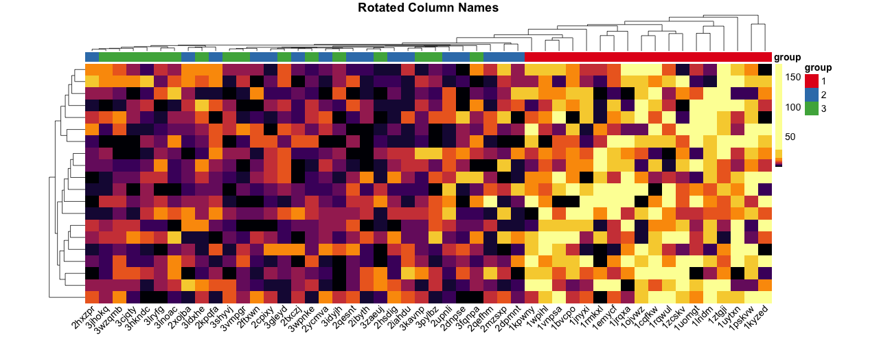 plot of chunk pheatmap-column-labels