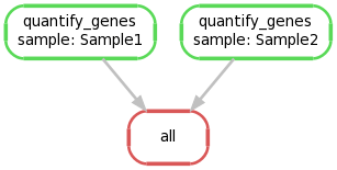 Snakemake directed acyclic graph (DAG).