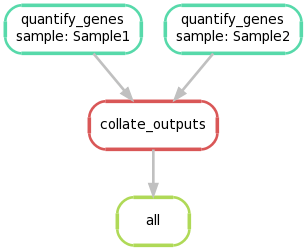 Snakemake directed acyclic graph (DAG).