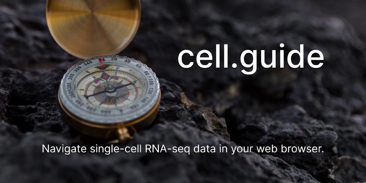 Cell Guide: Navigate single-cell RNA-seq datasets in your web browser